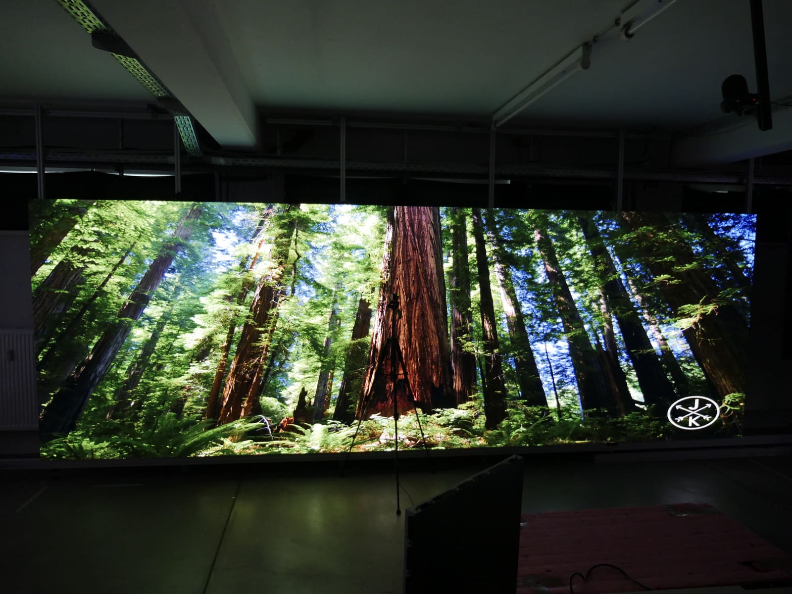 Wide TRUE dvLED lab wall showing redwood forest footage during a measurement session