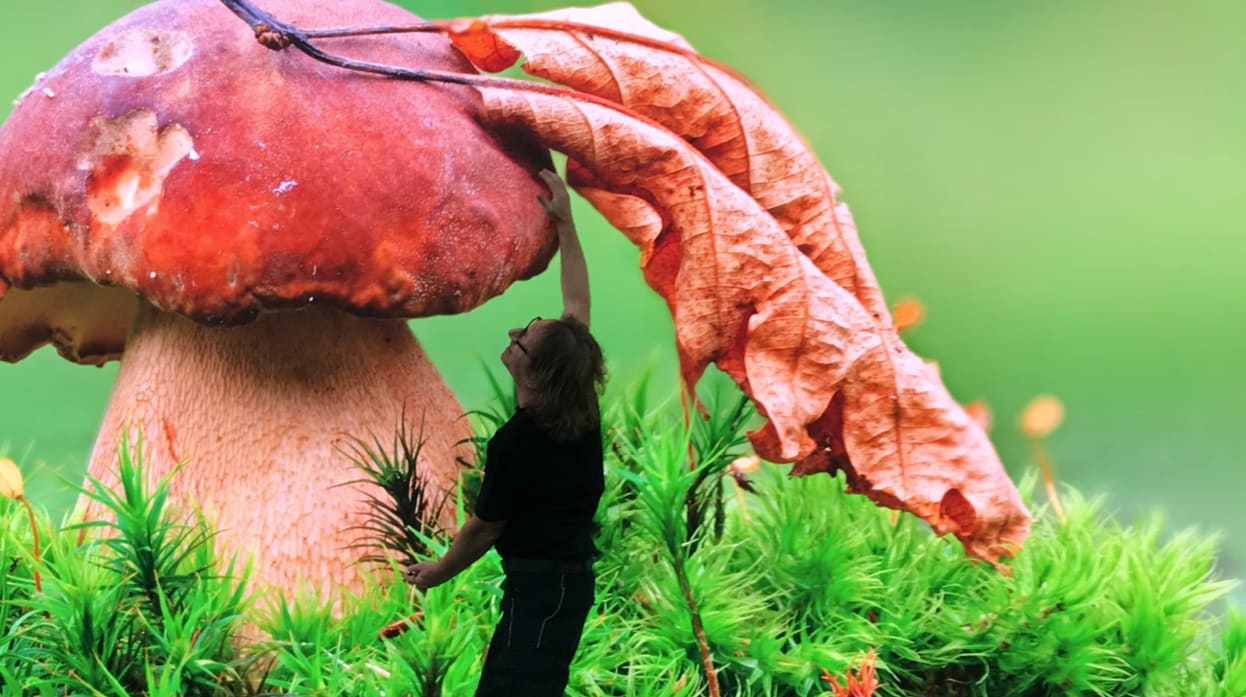 Close view of a TRUE dvLED wall with a person silhouetted against a giant red mushroom